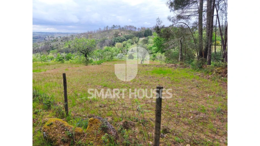 Quinta para Venda em Midões Foto 13