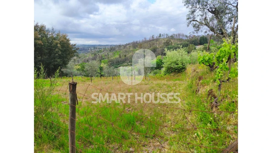 Quinta para Venda em Midões Foto 14