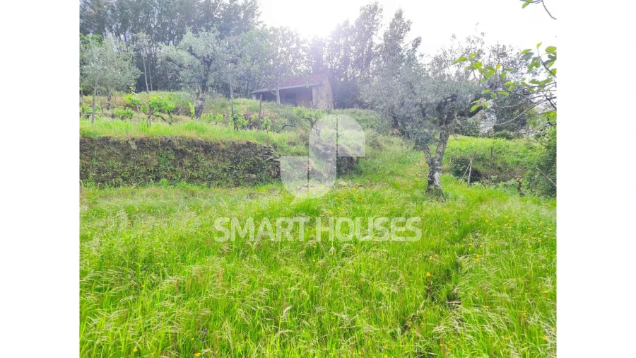 Quinta para Venda em Midões Foto 16