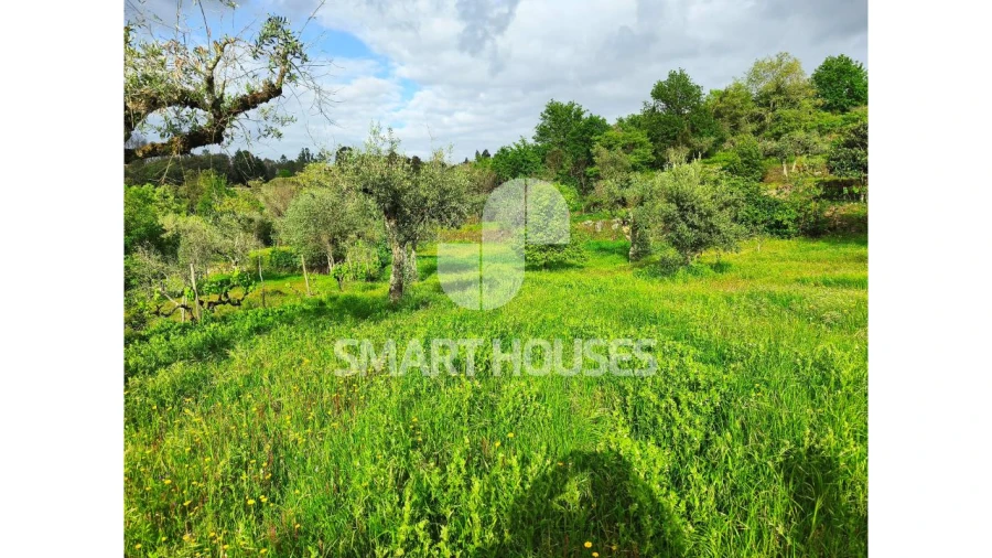 Quinta para Venda em Midões Foto 17