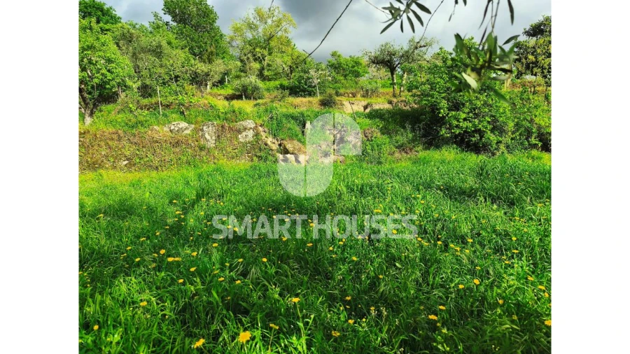 Quinta para Venda em Midões Foto 20