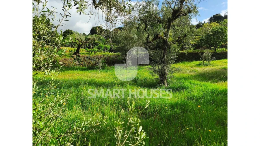 Quinta para Venda em Midões Foto 21