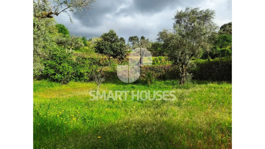 Quinta para Venda em Midões Foto 23