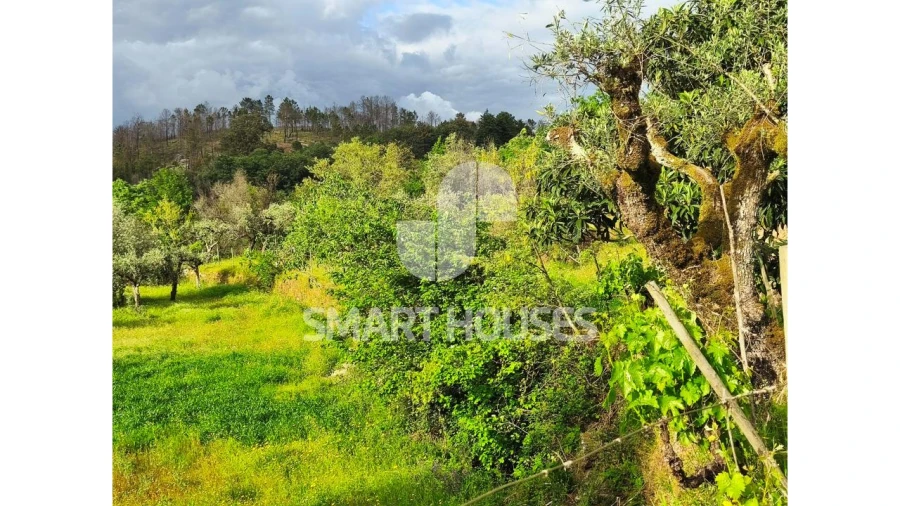 Quinta para Venda em Midões Foto 24