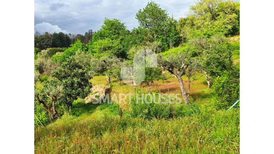 Quinta para Venda em Midões Foto 25