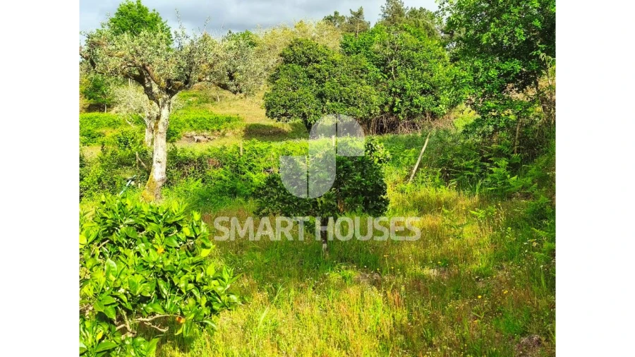 Quinta para Venda em Midões Foto 27