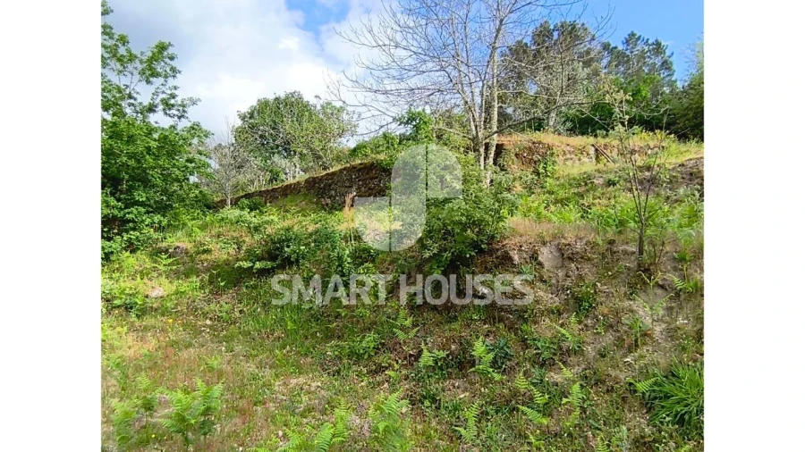 Quinta para Venda em Midões Foto 28