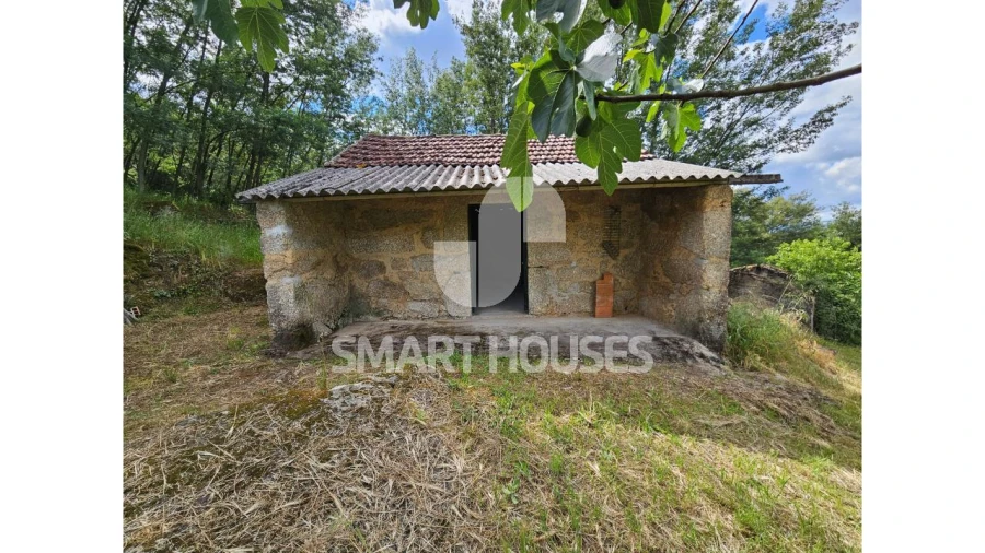 Quinta para Venda em Midões Foto 3