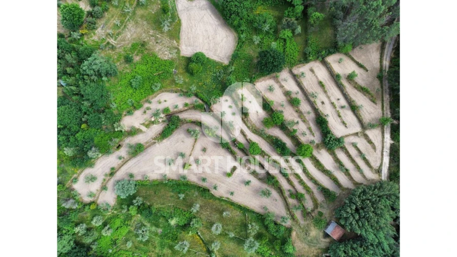 Quinta para Venda em Midões Foto 17