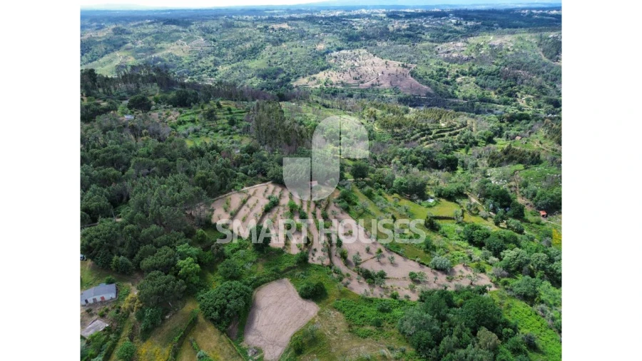 Quinta para Venda em Midões Foto 21