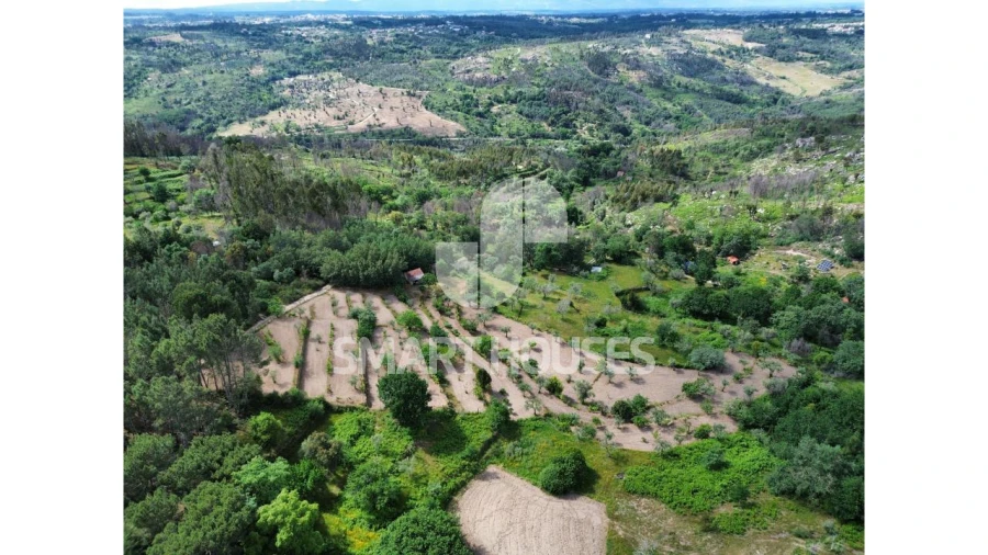Quinta para Venda em Midões Foto 23