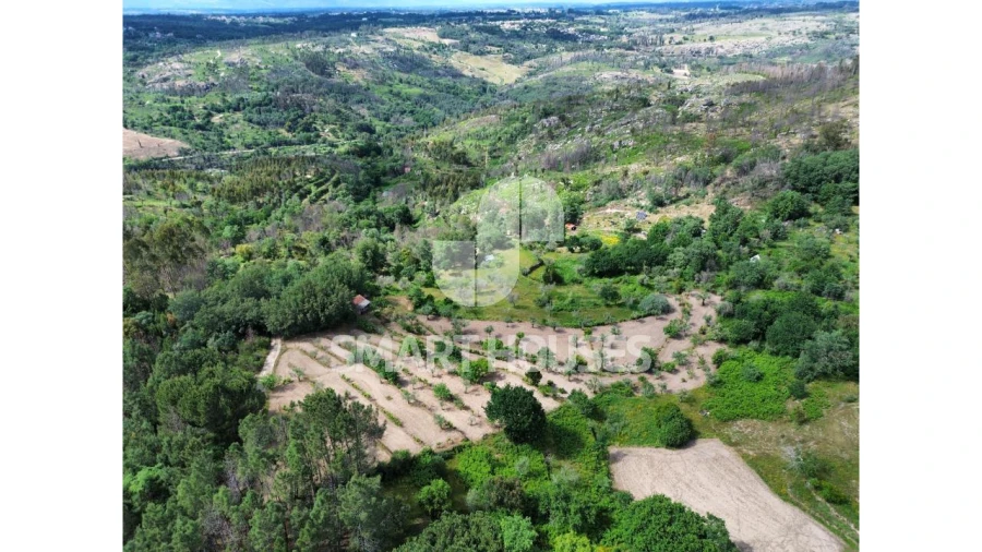 Quinta para Venda em Midões Foto 24