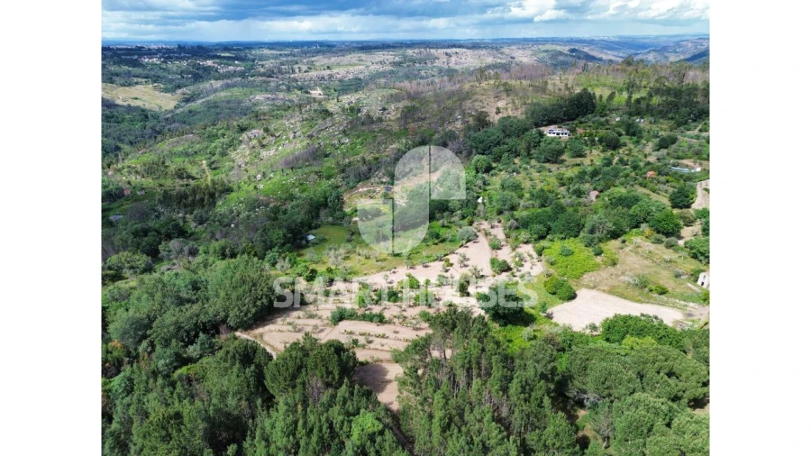 Quinta para Venda em Midões Foto 25