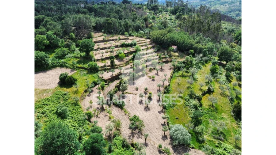 Quinta para Venda em Midões Foto 32