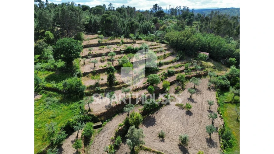 Quinta para Venda em Midões Foto 34
