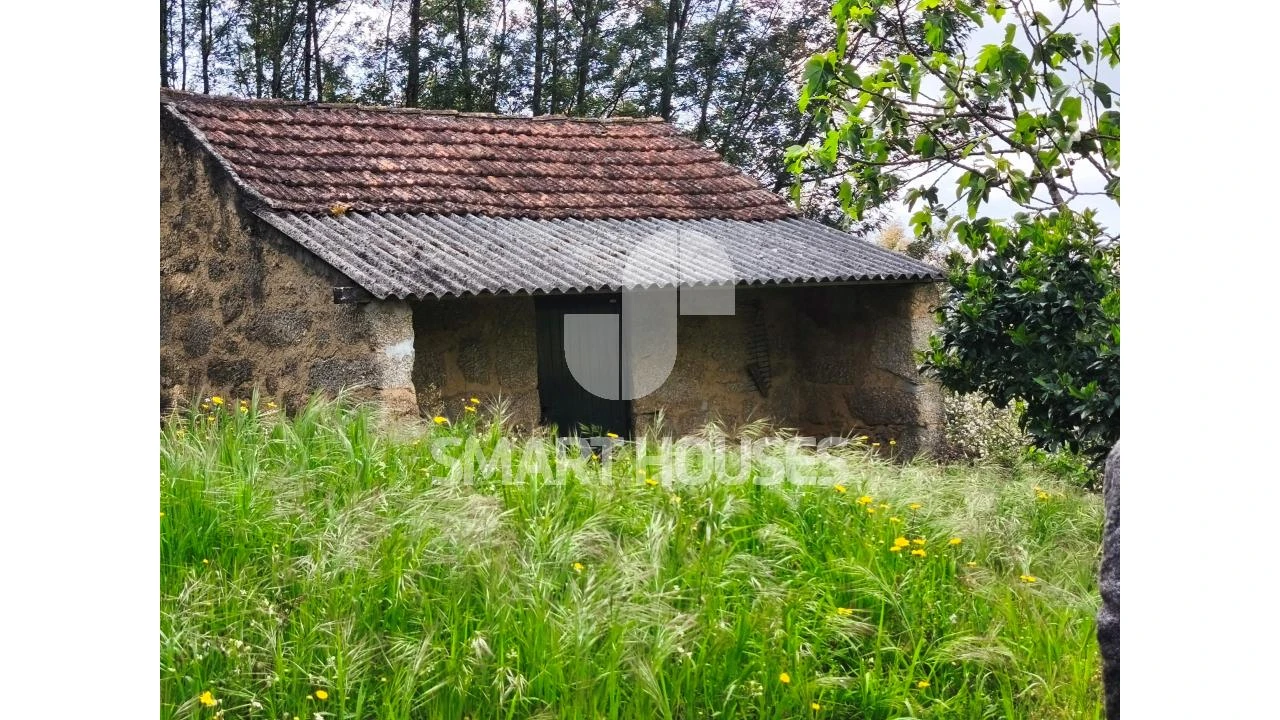 Quinta para Venda em Midões Foto 1
