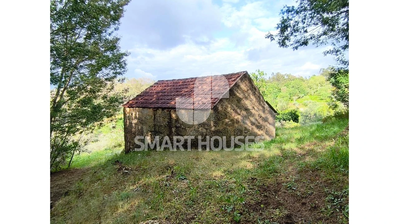 Quinta para Venda em Midões Foto 8