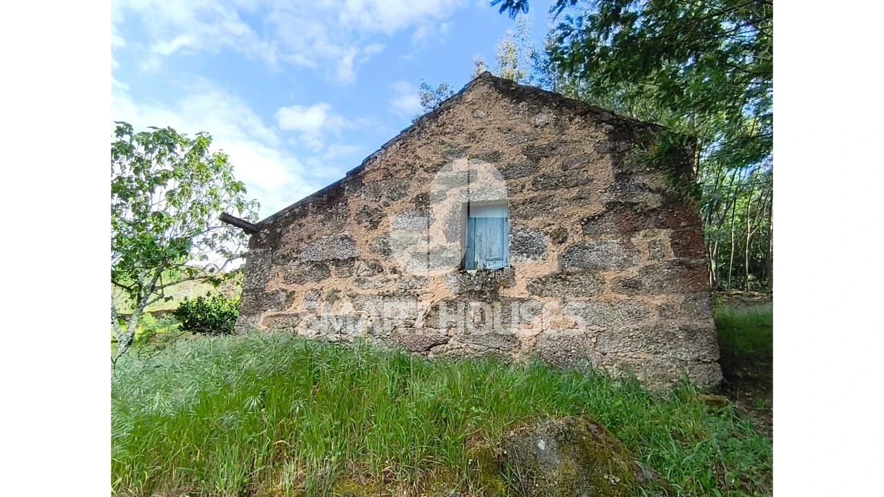 Quinta para Venda em Midões Foto 9