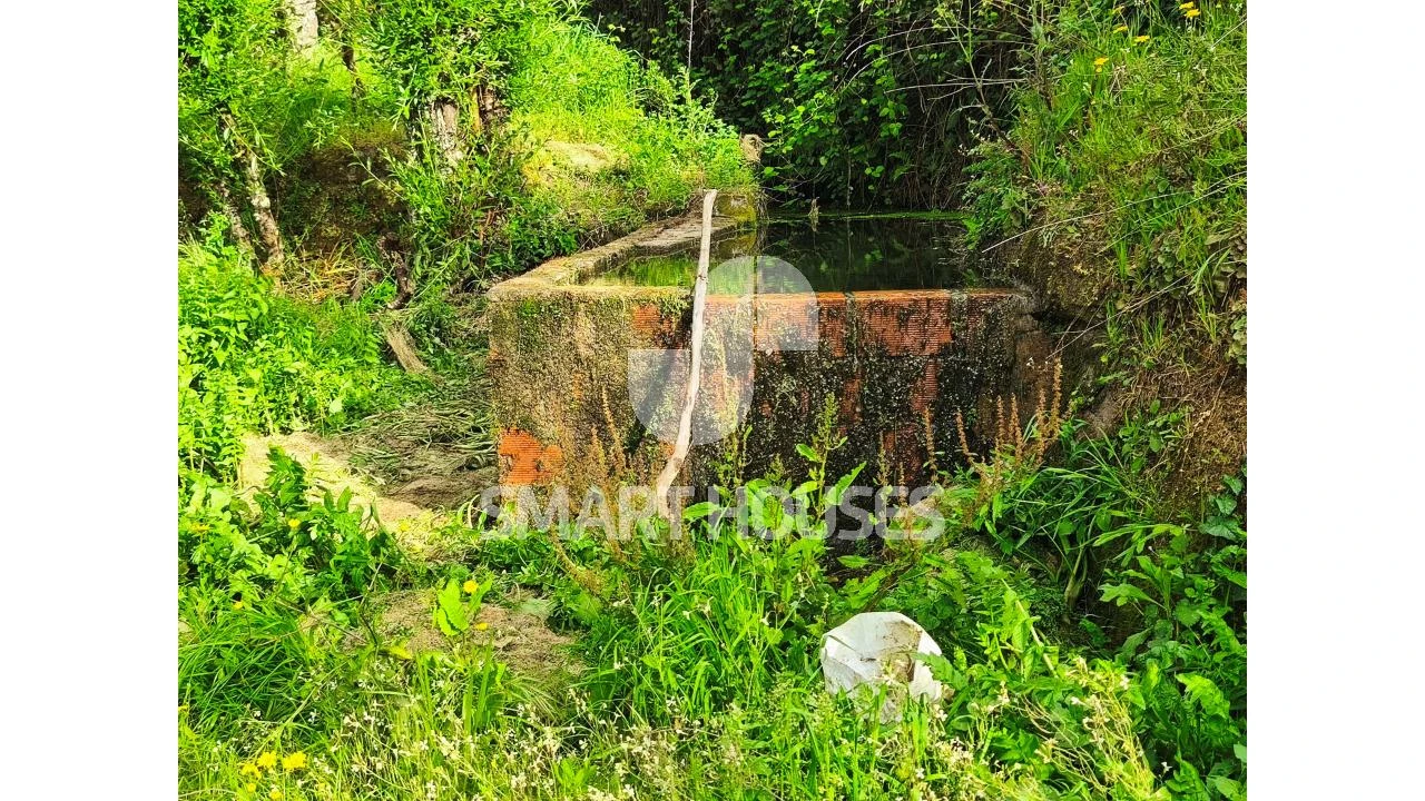Quinta para Venda em Midões Foto 10