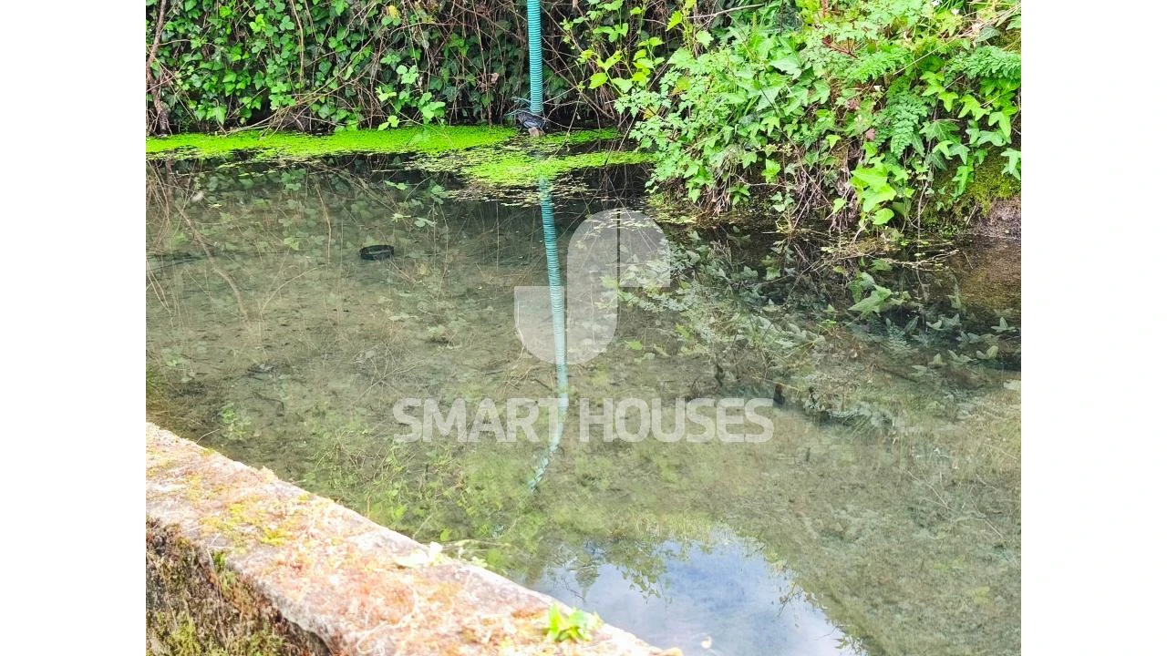 Quinta para Venda em Midões Foto 11