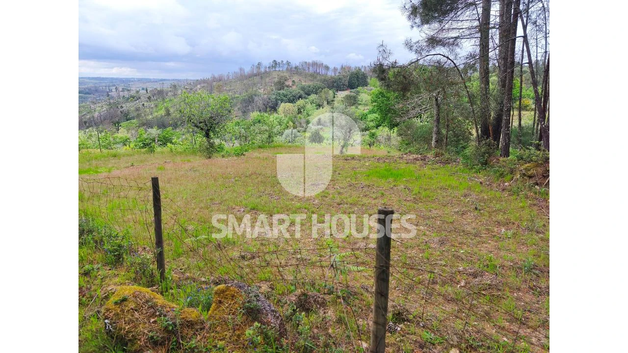 Quinta para Venda em Midões Foto 13