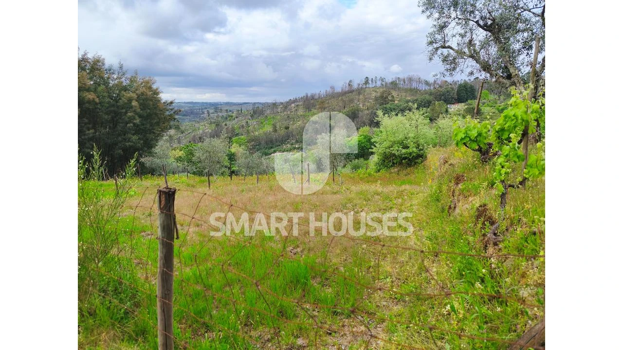 Quinta para Venda em Midões Foto 14