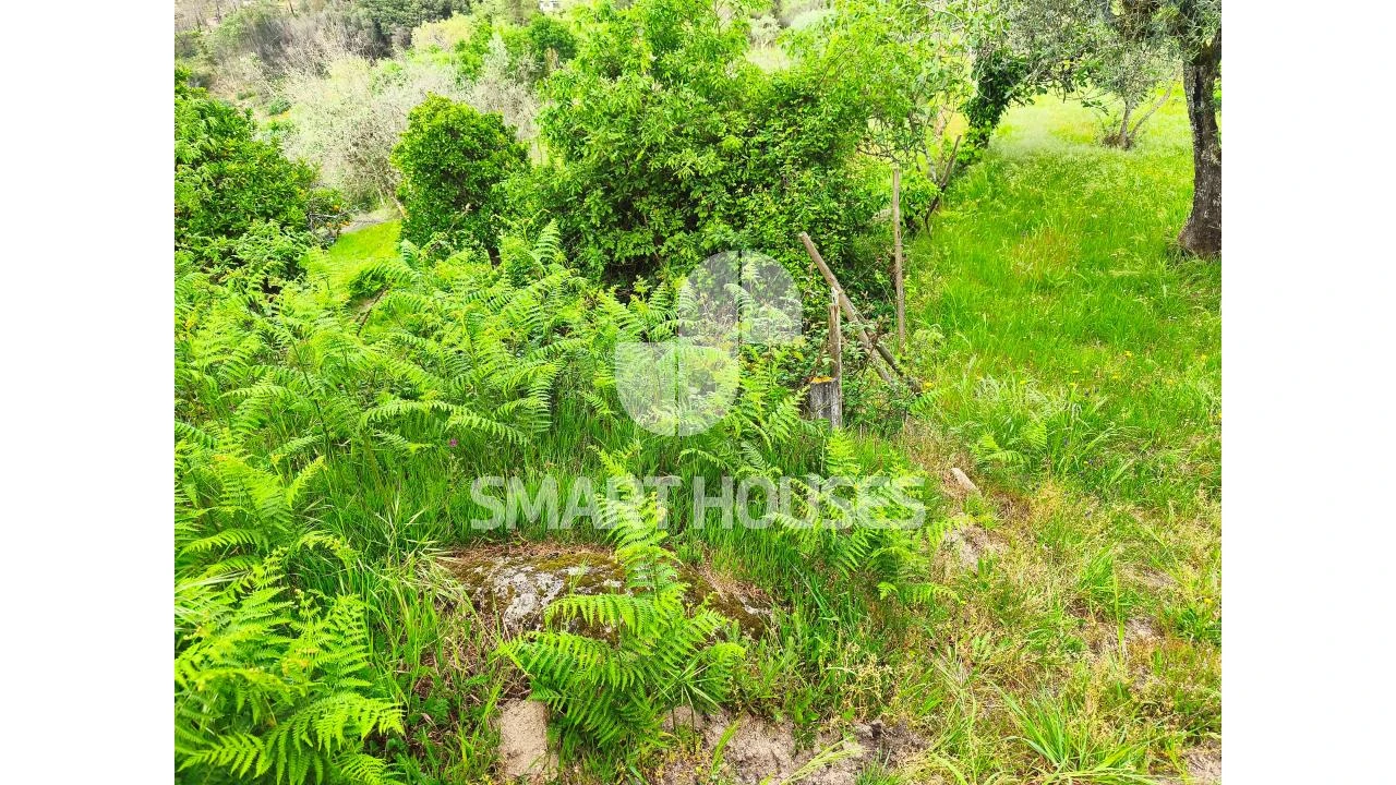 Quinta para Venda em Midões Foto 15