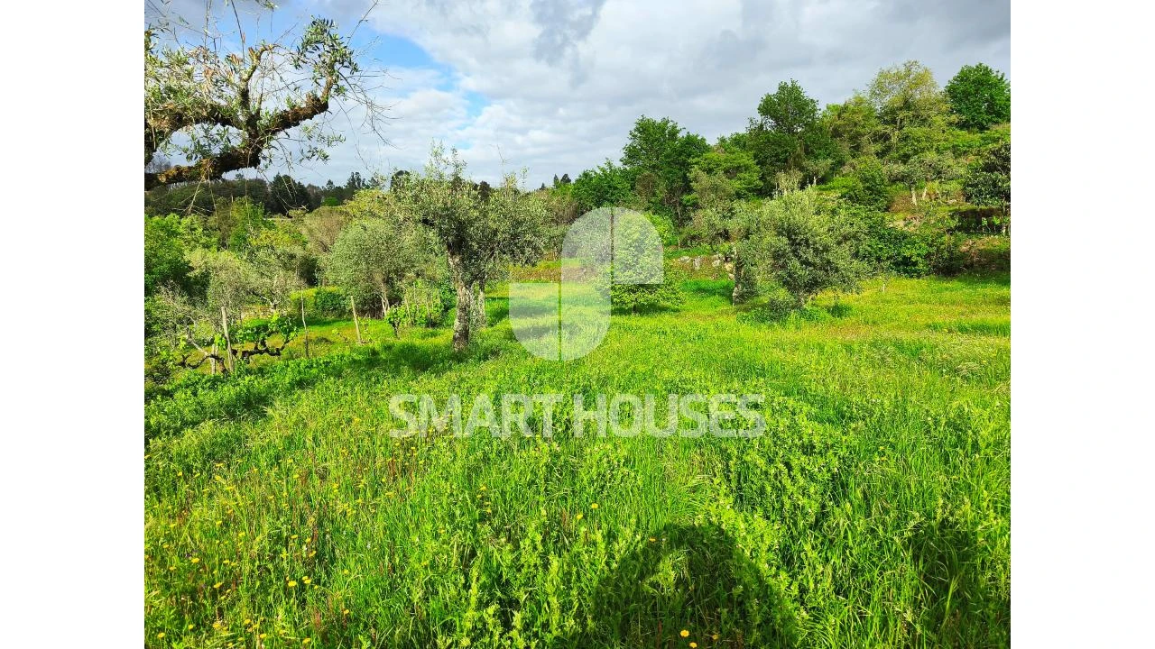 Quinta para Venda em Midões Foto 17
