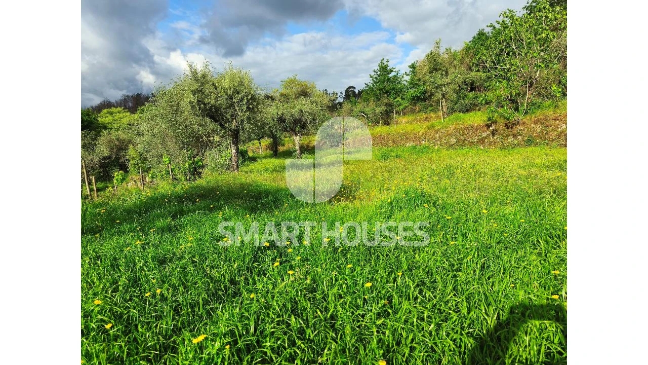 Quinta para Venda em Midões Foto 18