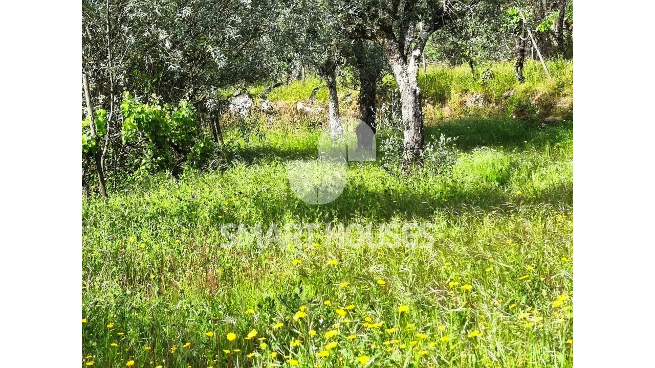 Quinta para Venda em Midões Foto 19