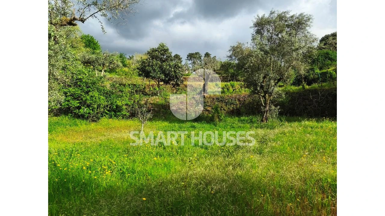 Quinta para Venda em Midões Foto 23