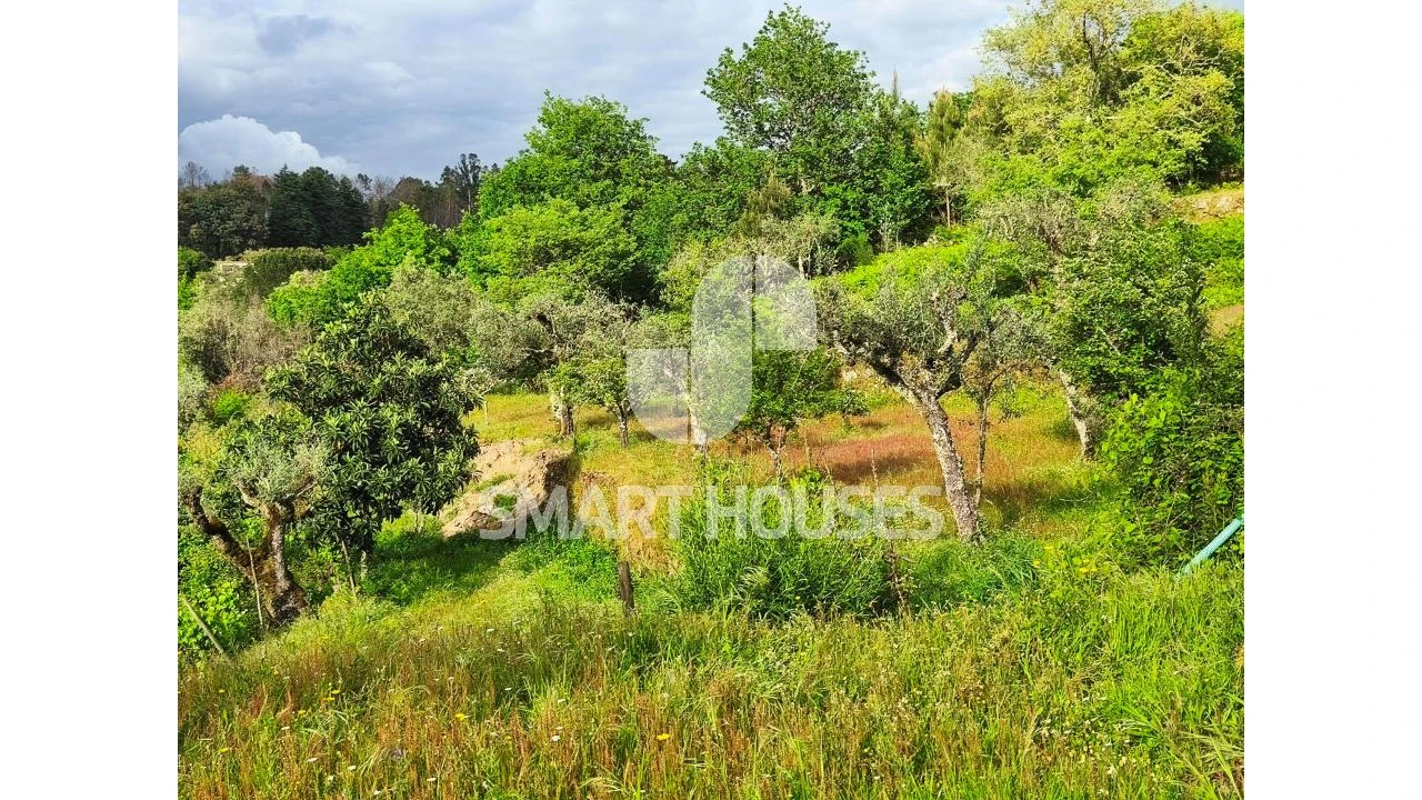 Quinta para Venda em Midões Foto 25