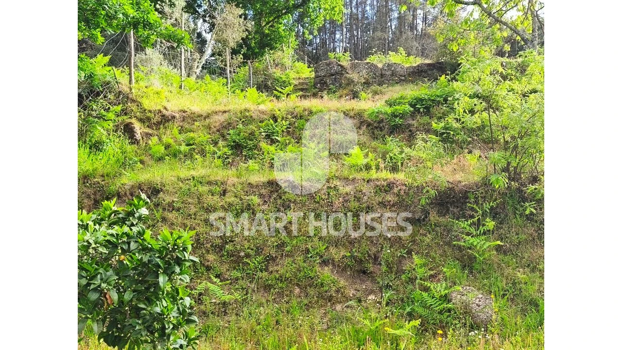 Quinta para Venda em Midões Foto 26