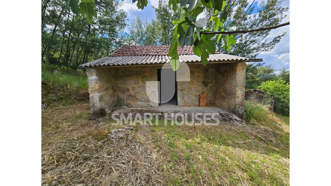 Quinta para Venda em Midões Foto 3