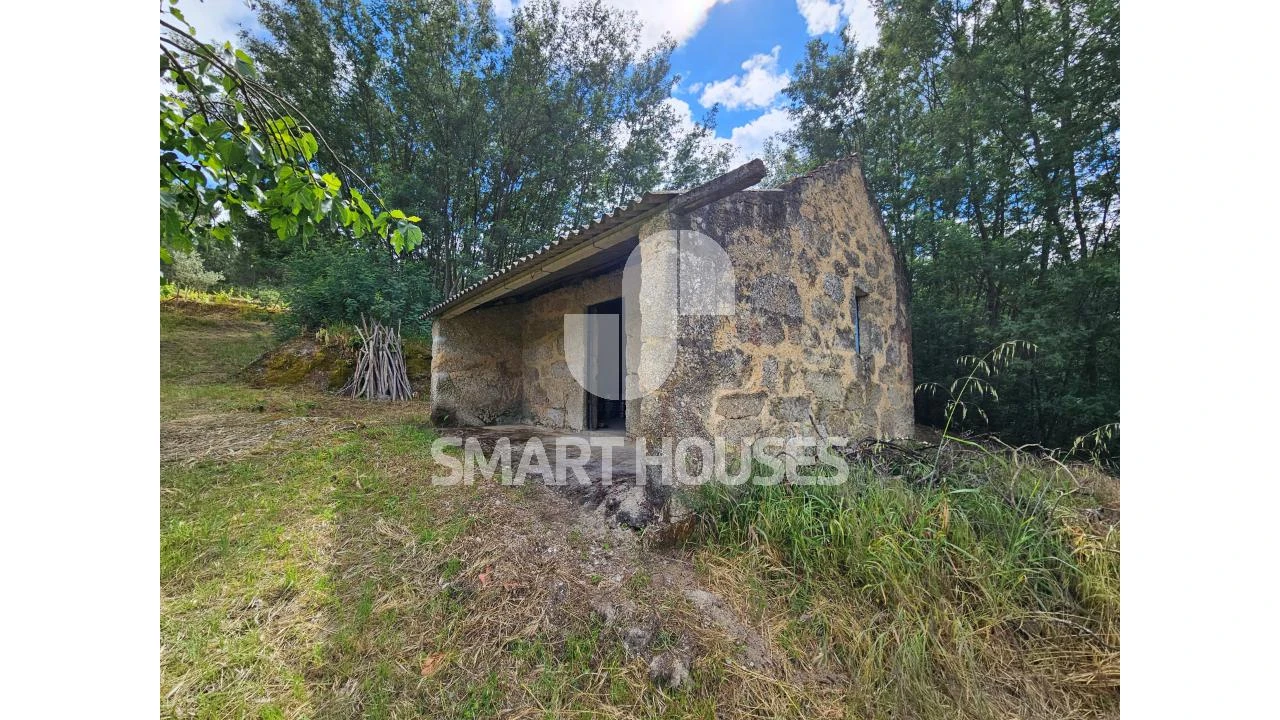 Quinta para Venda em Midões Foto 5