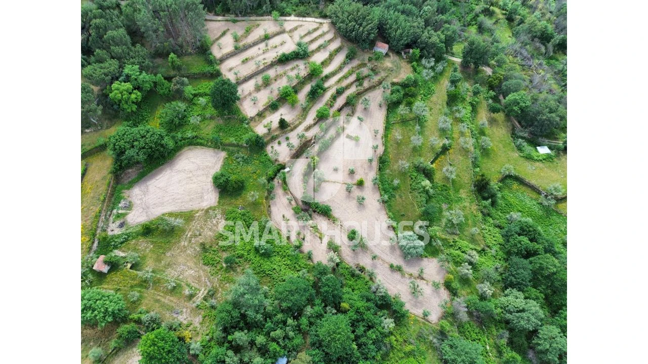 Quinta para Venda em Midões Foto 18