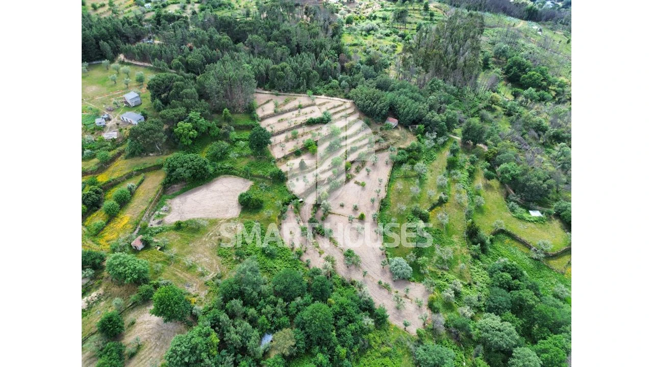 Quinta para Venda em Midões Foto 19