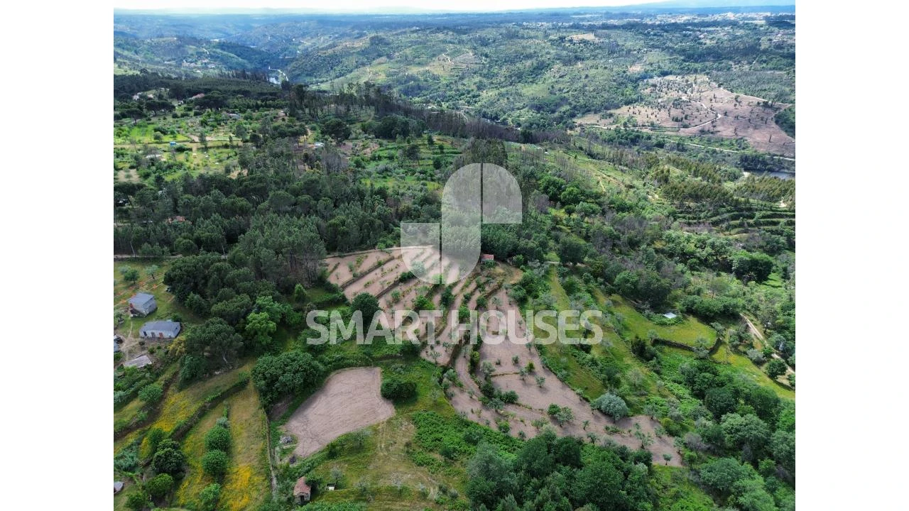 Quinta para Venda em Midões Foto 20