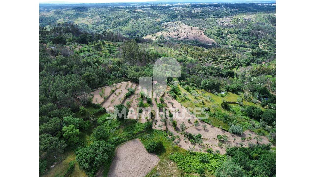 Quinta para Venda em Midões Foto 22