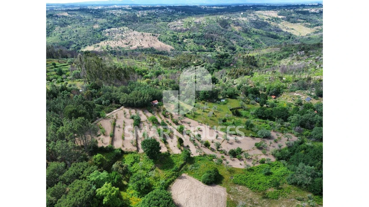 Quinta para Venda em Midões Foto 23