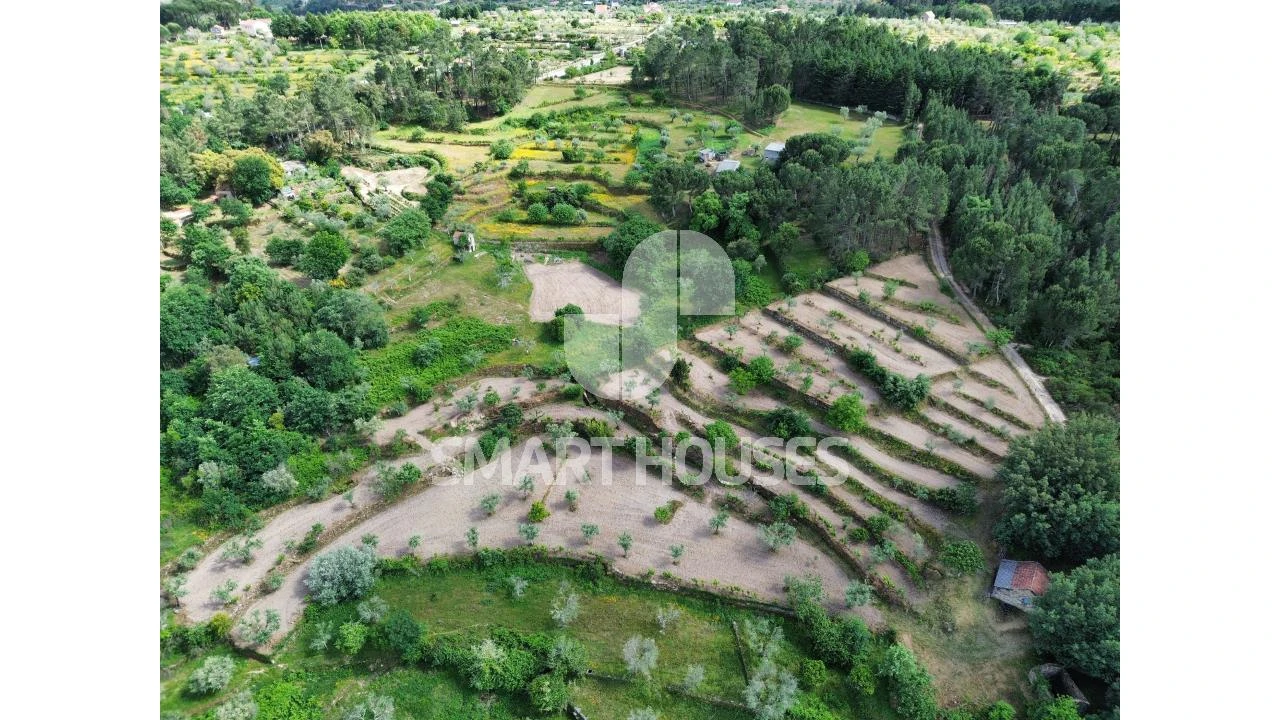 Quinta para Venda em Midões Foto 29