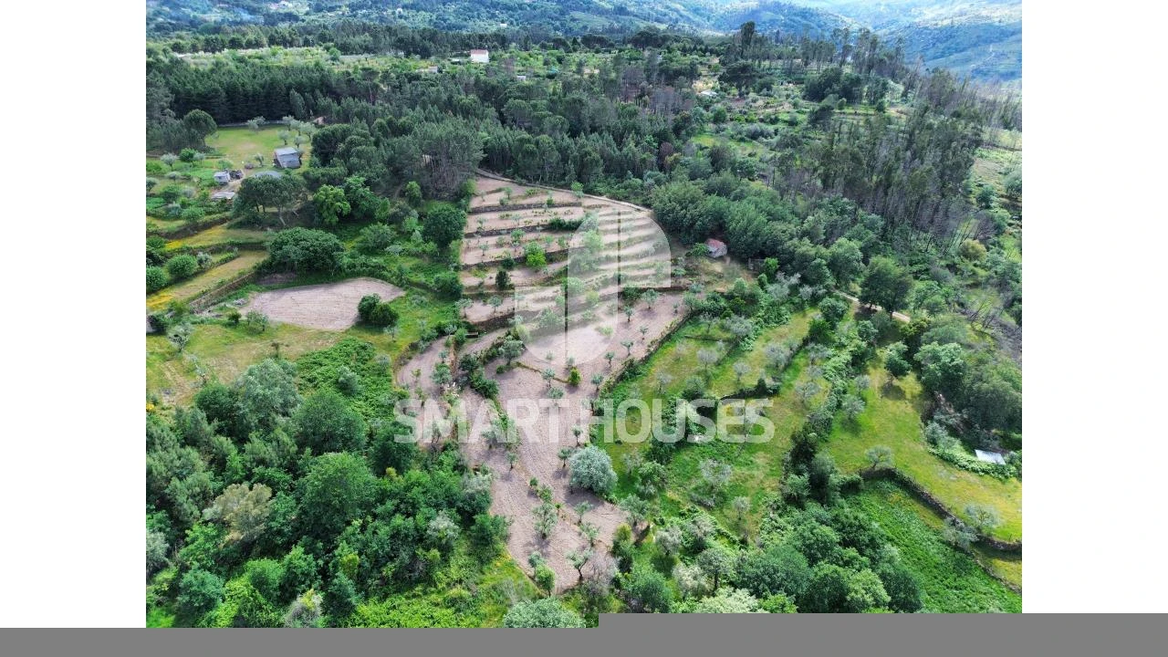 Quinta para Venda em Midões Foto 30