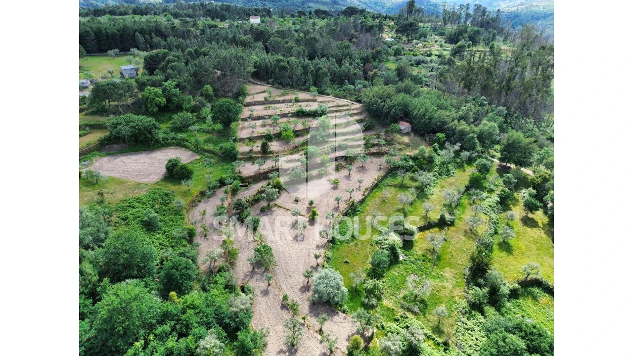 Quinta para Venda em Midões Foto 31