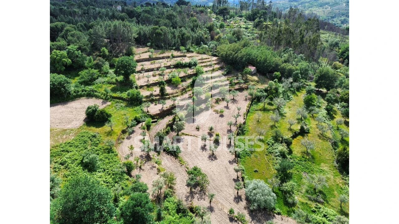 Quinta para Venda em Midões Foto 32