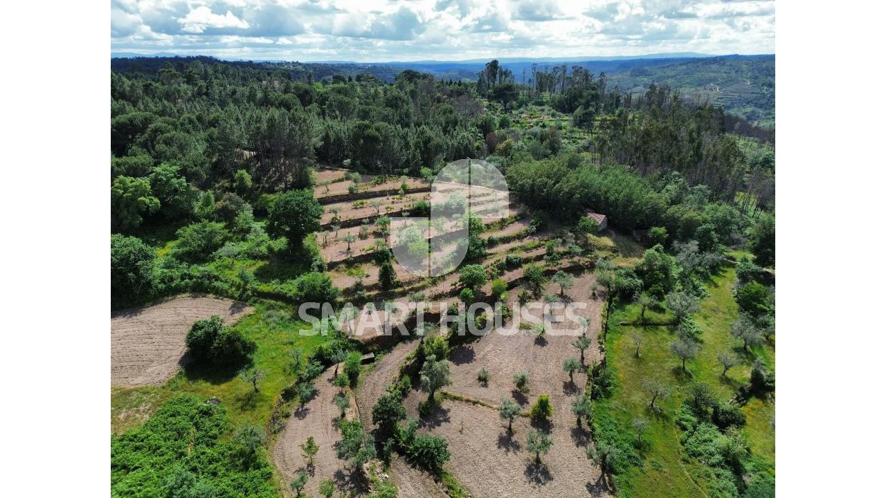Quinta para Venda em Midões Foto 33