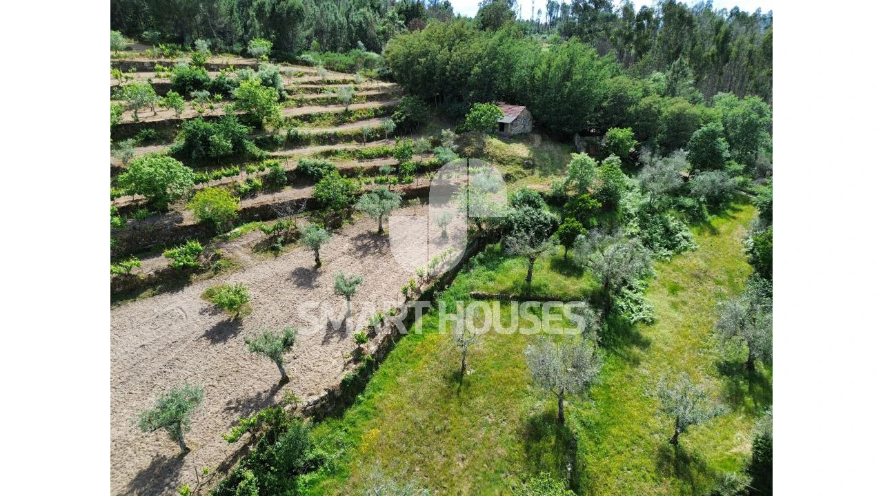 Quinta para Venda em Midões Foto 36