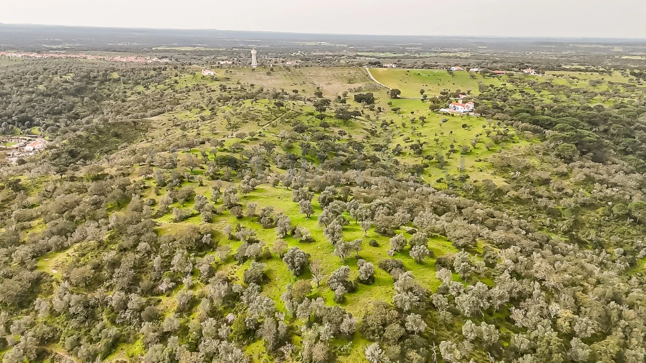 Terreno Agricola ou Rústico para Venda em Pavia Foto 1