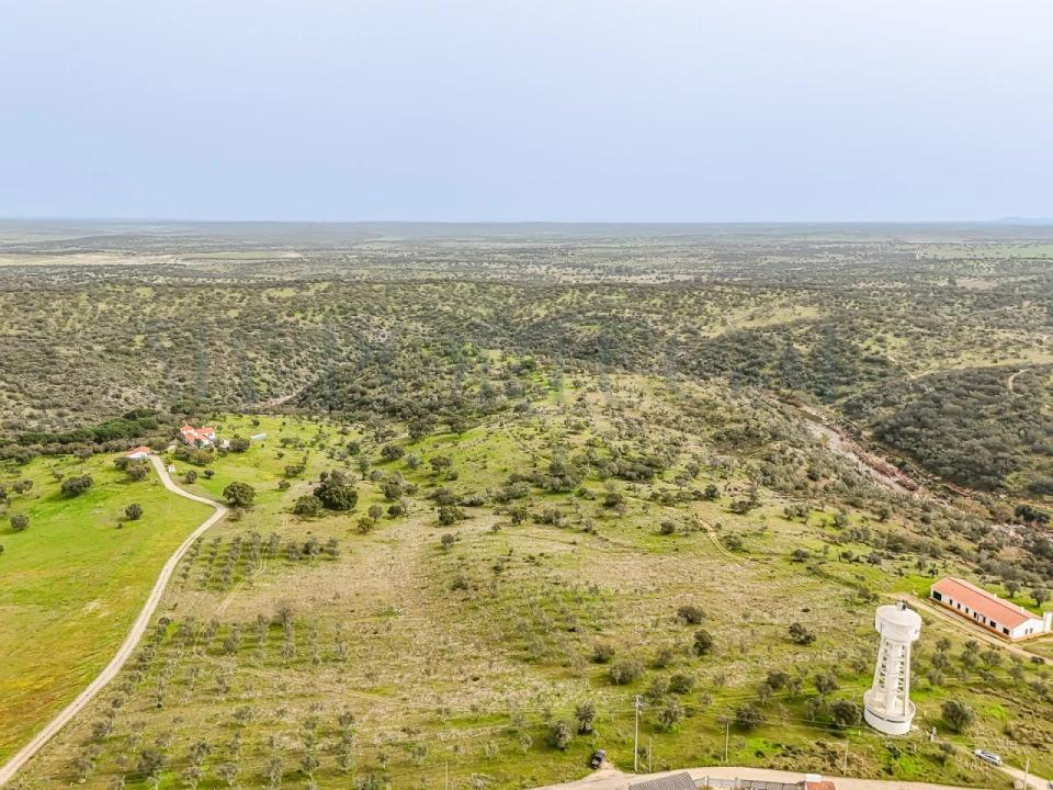 Terreno Agricola ou Rústico para Venda em Pavia Foto 3