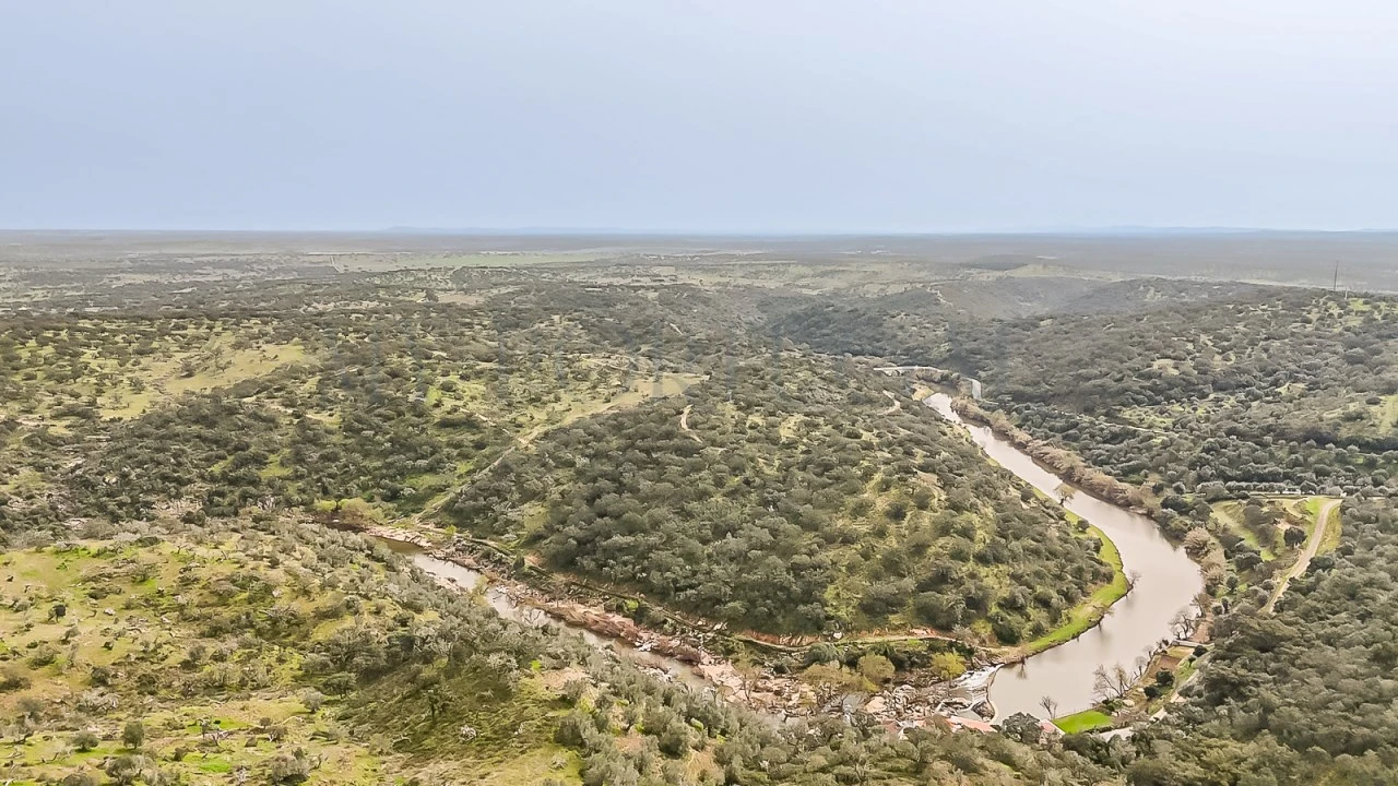 Terreno Agricola ou Rústico para Venda em Pavia Foto 4