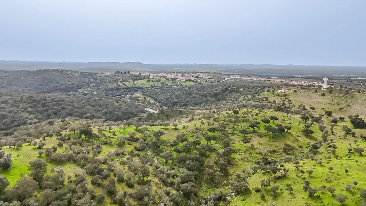 Terreno Agricola ou Rústico para Venda em Pavia Foto 9